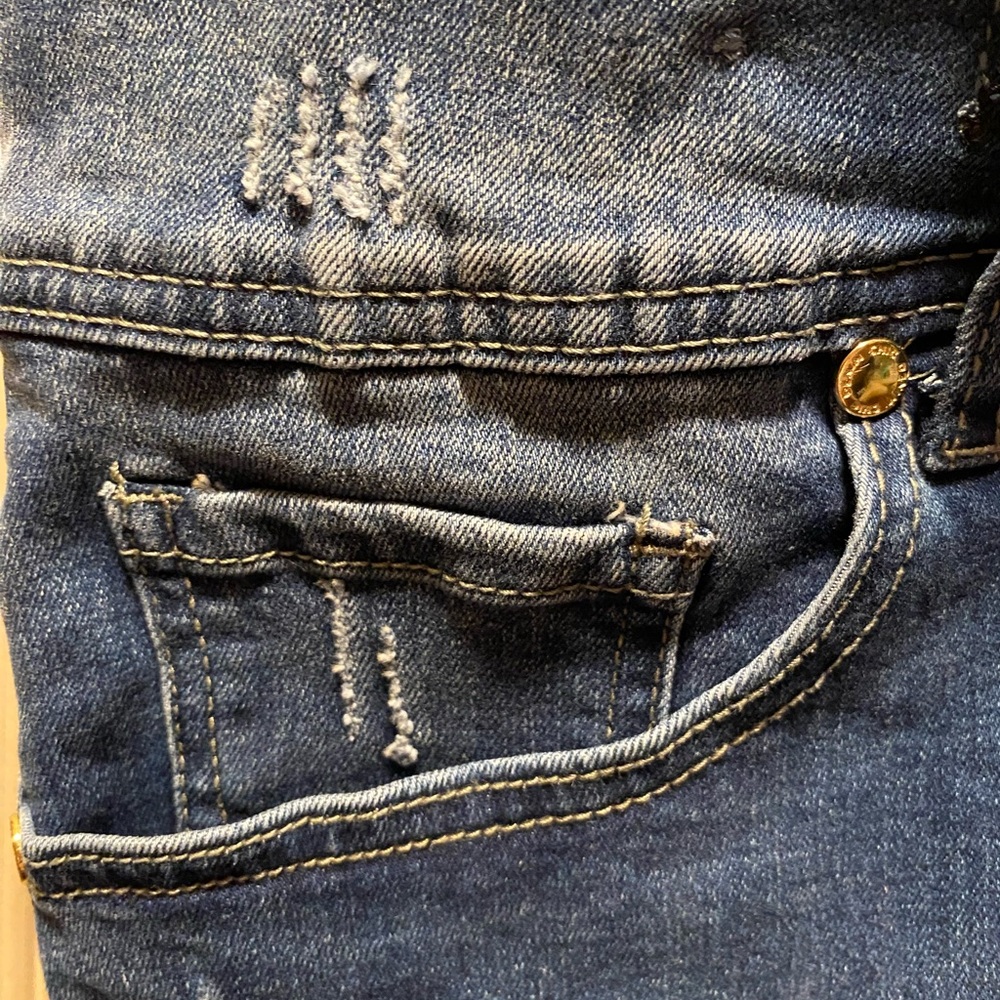Chic Denim Asha High Rise Skinny Jeans - Picture 3 of 14